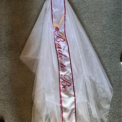 Bride To Be Veil 