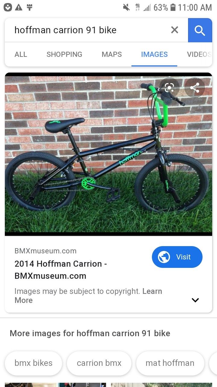 Hoffman trick bike