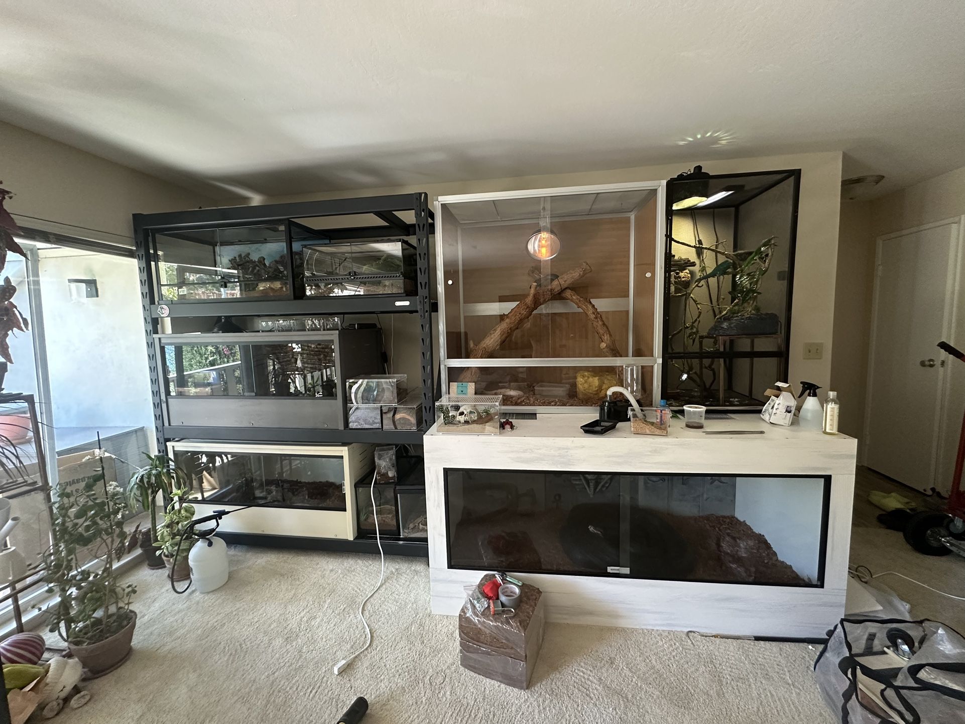 Reptile Supplies/ Downsizing My R Collection
