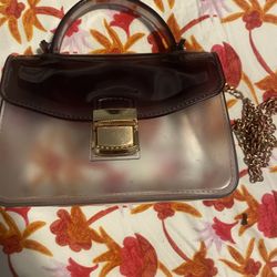 Clear See Through Purse