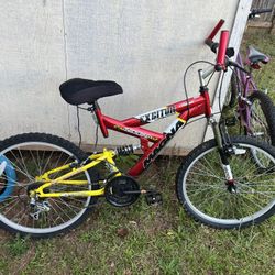 Adult Bike