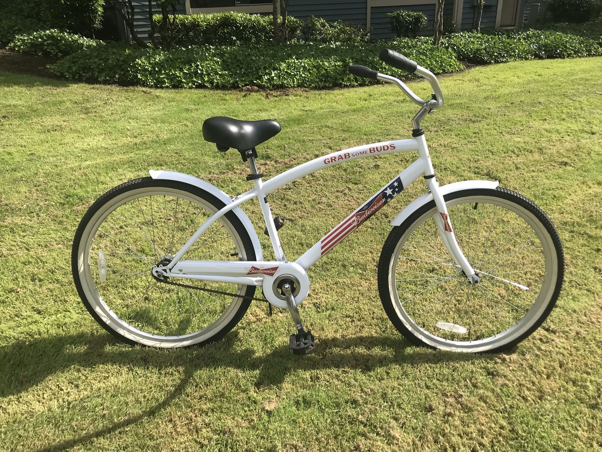 Bike beach cruiser