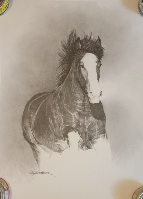 Horse on the run