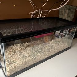 20 Gallon Tank