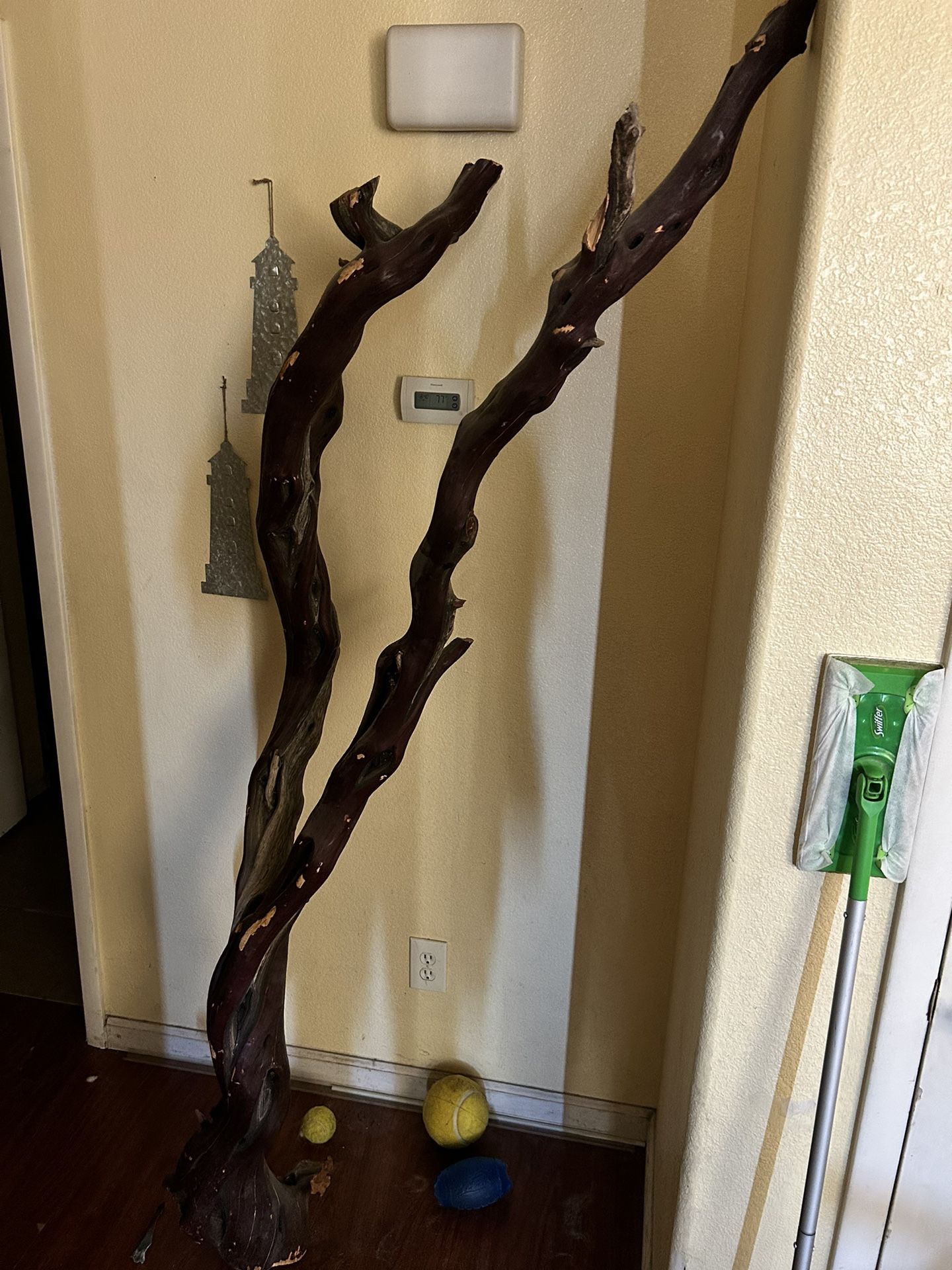 Beautiful Manzanita Wood