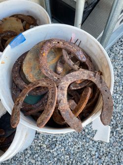 Horseshoes