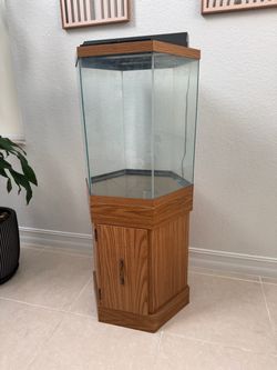Hexagonal 35 gallon fish tank