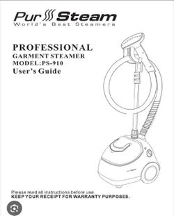 New PurSteam Professional Garment Steamer PS-910