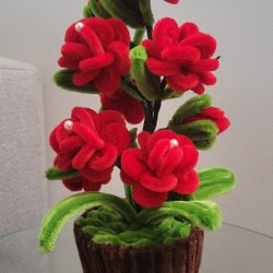 Eternal Flower Made From Pipes Cleaners 