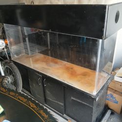 120 Gallon Acrylic Show Tank