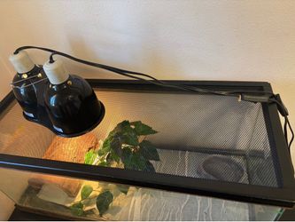 Reptile tank