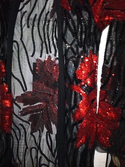 Red/Black Sequence Sheer Coverup