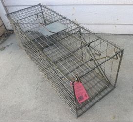 Pied Piper Animal Trap Model 201