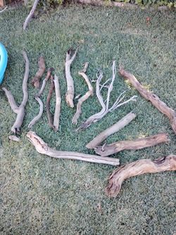 Natural driftwood