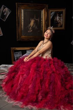 Luxury Quinceañera Gown - Worn Once