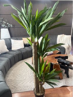 artificial decor plant