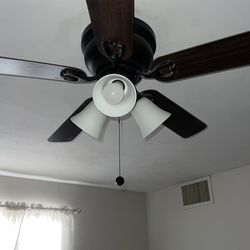 Ceiling Fan