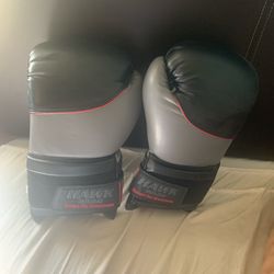 Boxing Gloves Grey And Black