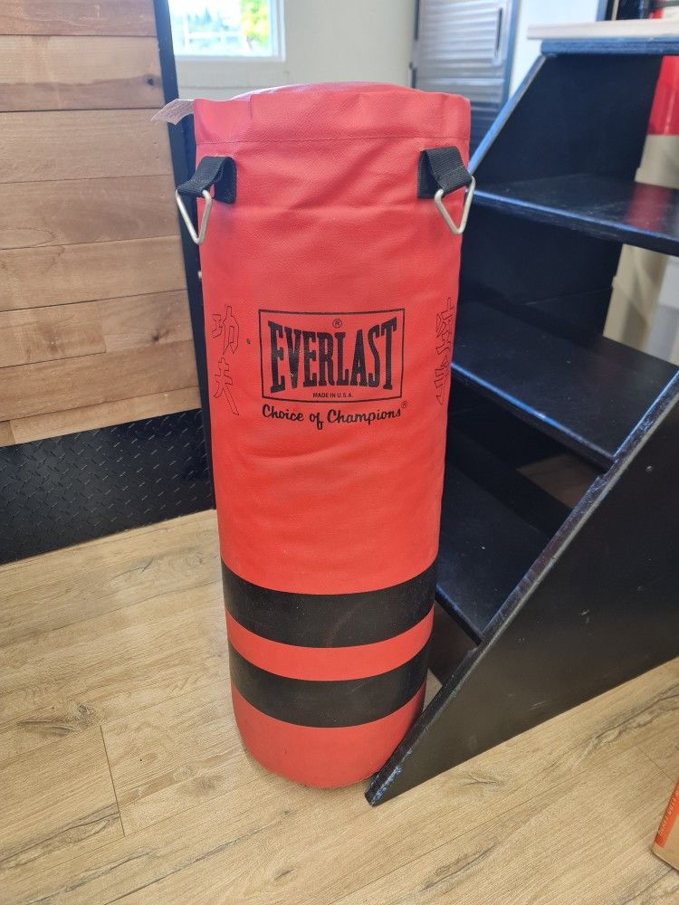 Everlast Boxing Bag
