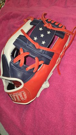 U.S.A Edition Glove