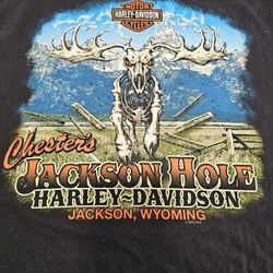 Harley Davidson Tee Shirt. 2XL