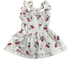Pet Dress