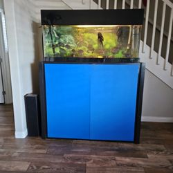 Fish Aquarium 80 Gallon (Acrylic)