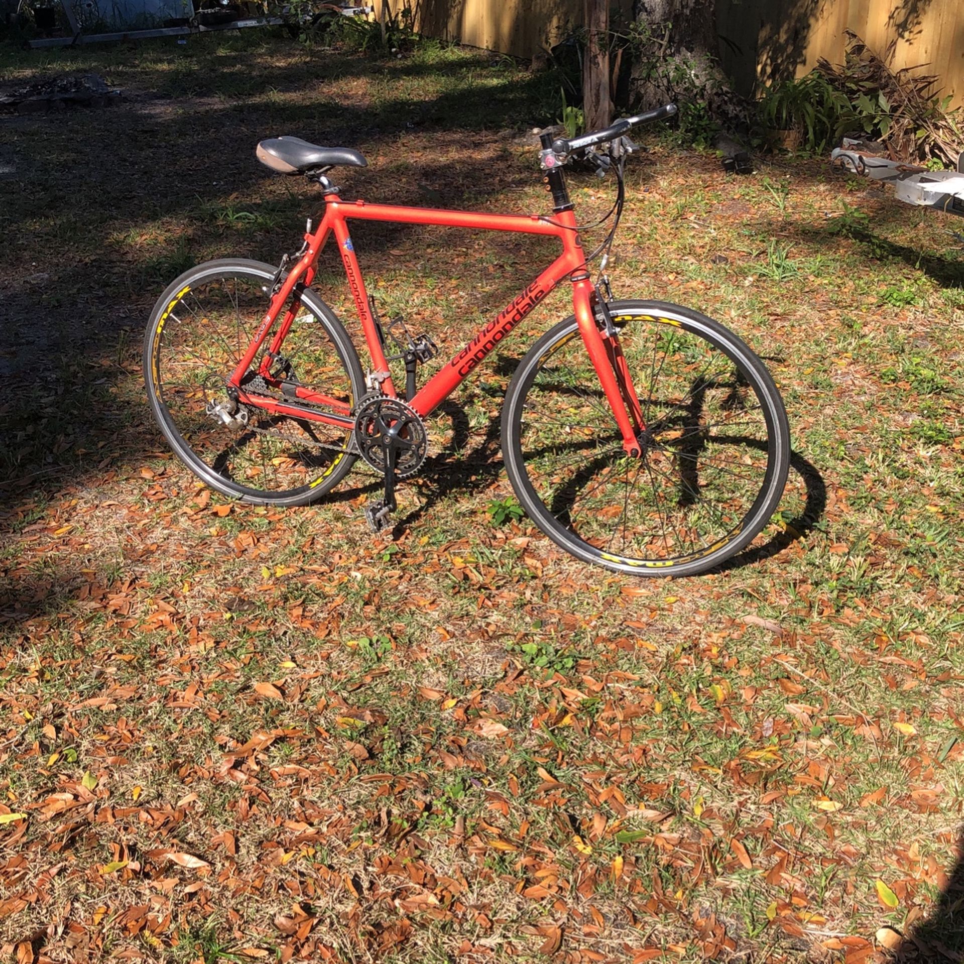 Cannondale Road Warrior 800