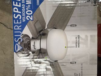 Hunter Ceiling Fan with Light Kit