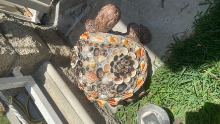 Cement Turtle