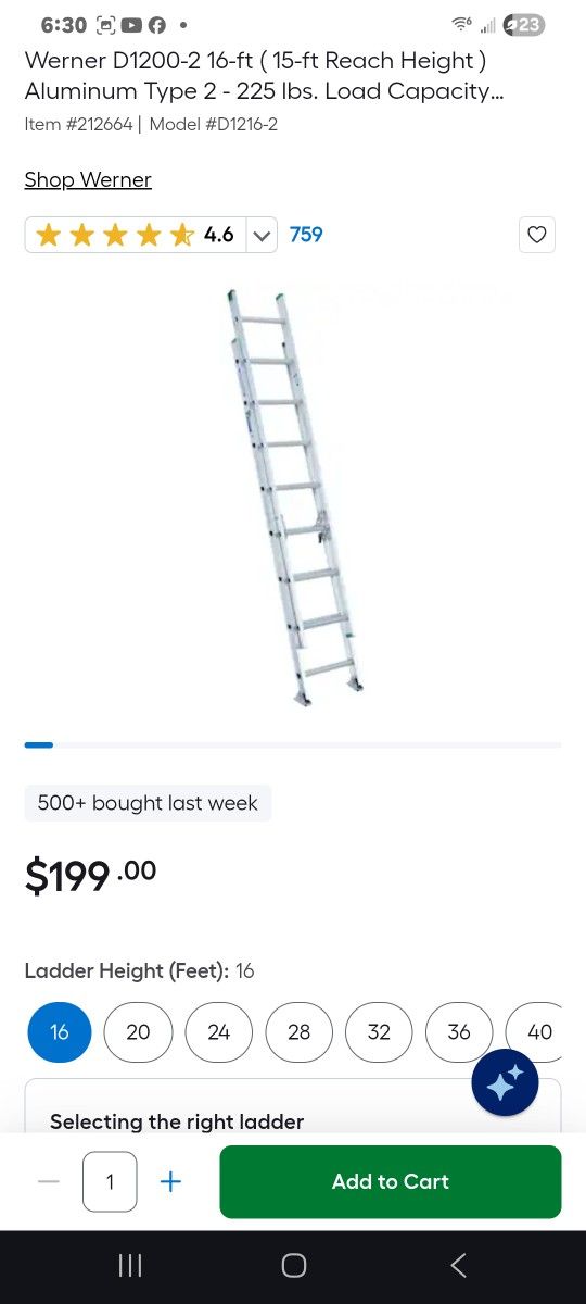 Werner Ladder 16ft