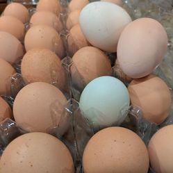 🐔🌿 Pasture-Raised Chicken Eggs: $3/half dozen 🥚