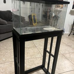 Reptile Tank 