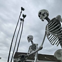 Pair of 12 Foot Skeletons