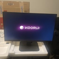 27in Gaming Monitor 