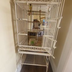 4 ft Bird Cage