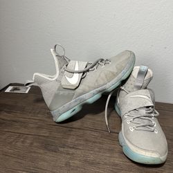 Lebron 14 Air Mag
