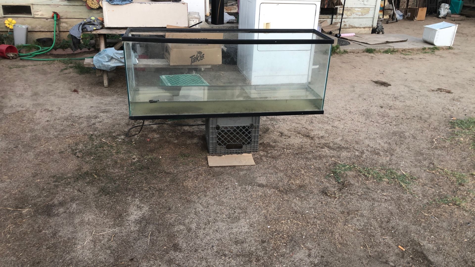 Fish Tank