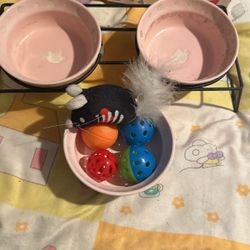 Lifted Cat Bowls And Toys 
