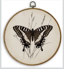 Butterfly Wall Canvas Art 