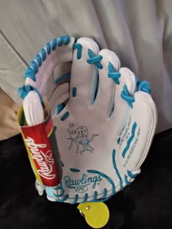 Heart of hide softball mit