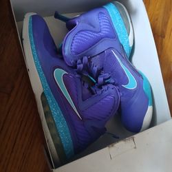 Nike LeBron 9 Lake Summits 