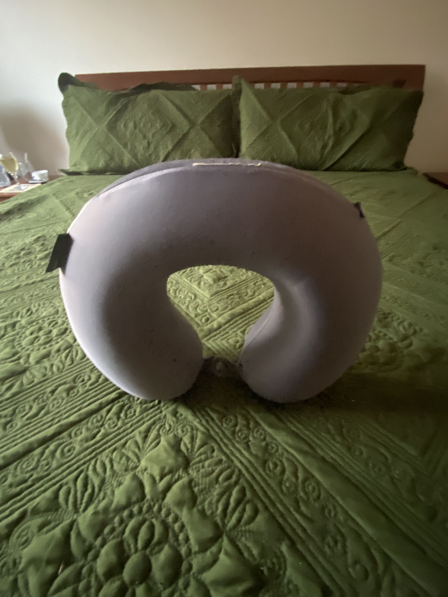 Travel Pillow