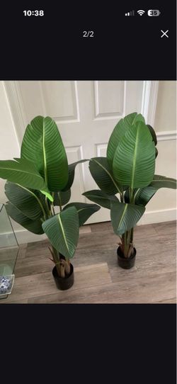 Pretty artificial plant 4 ft tall set of 2 ! Brand New