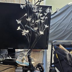 light cherry blossom tree 