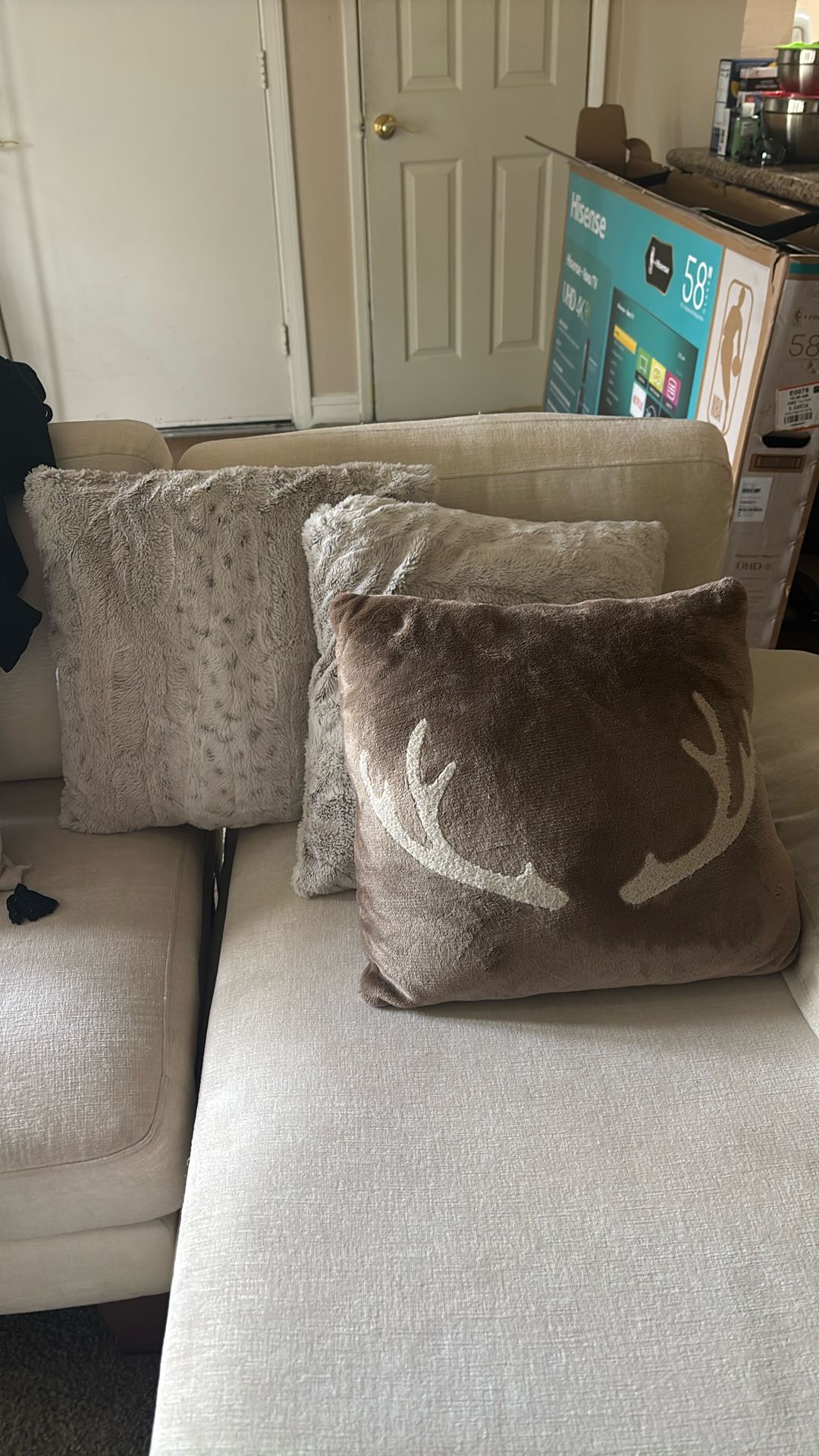 Couch Pillows