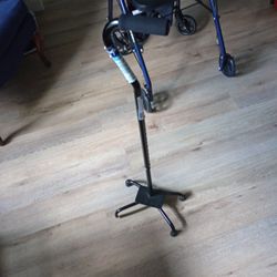 Quad Cane