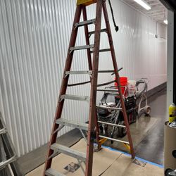 Werner 10’ Ladder