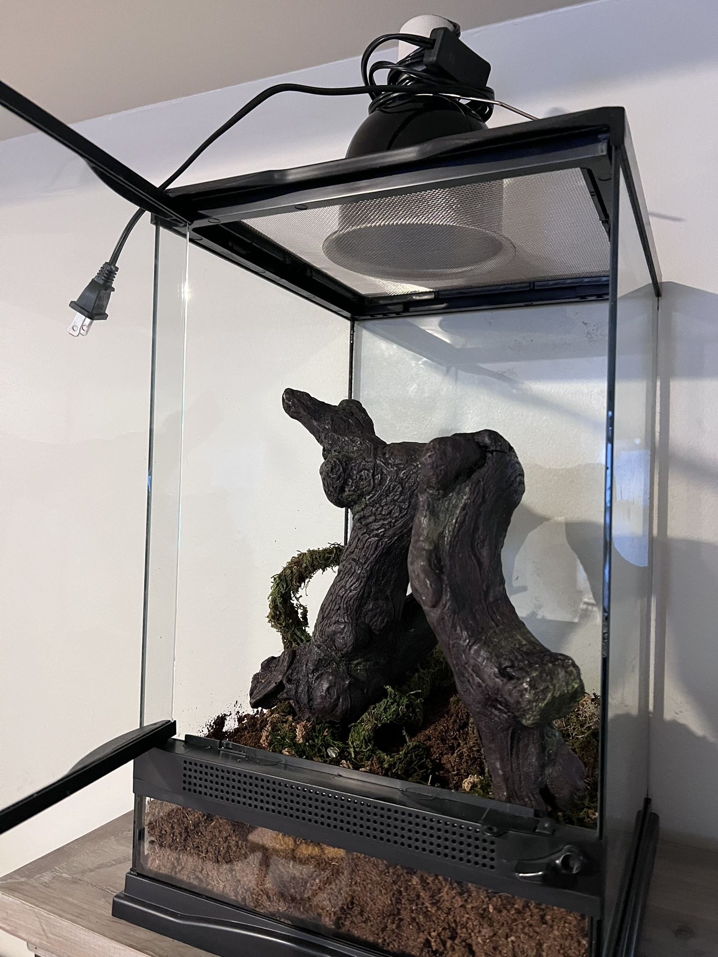 Small Reptile Terrarium