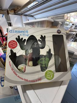 Dissect A Frog
